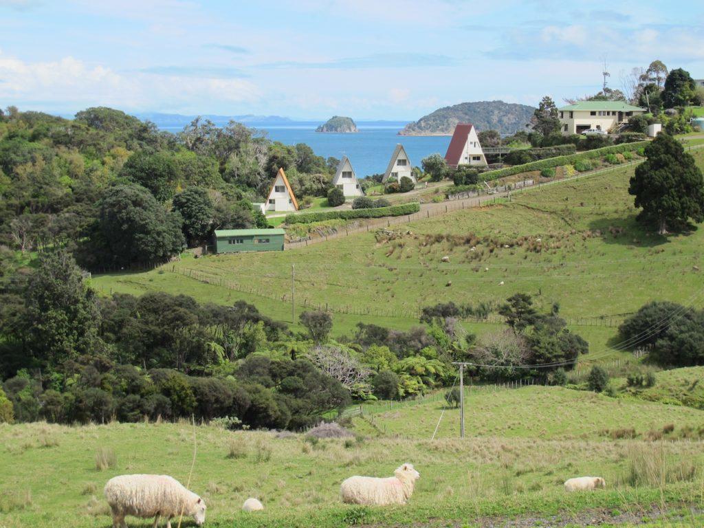 Pohutukawa Coastal Chalets Coromandel Exteriör bild